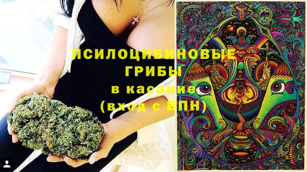 мдпв Кинешма