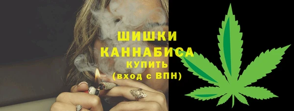 мдпв Кинешма