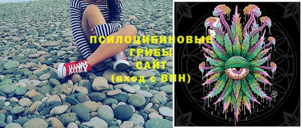 мдпв Кинешма