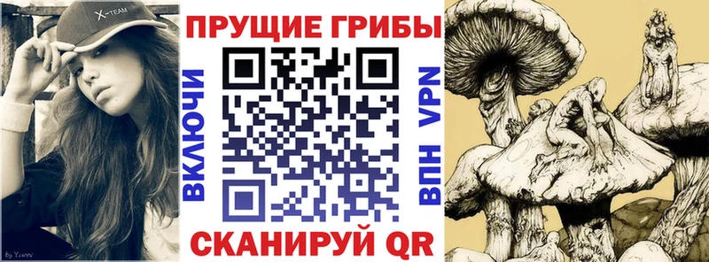 Галлюциногенные грибы ЛСД  Купить где  Вичуга 